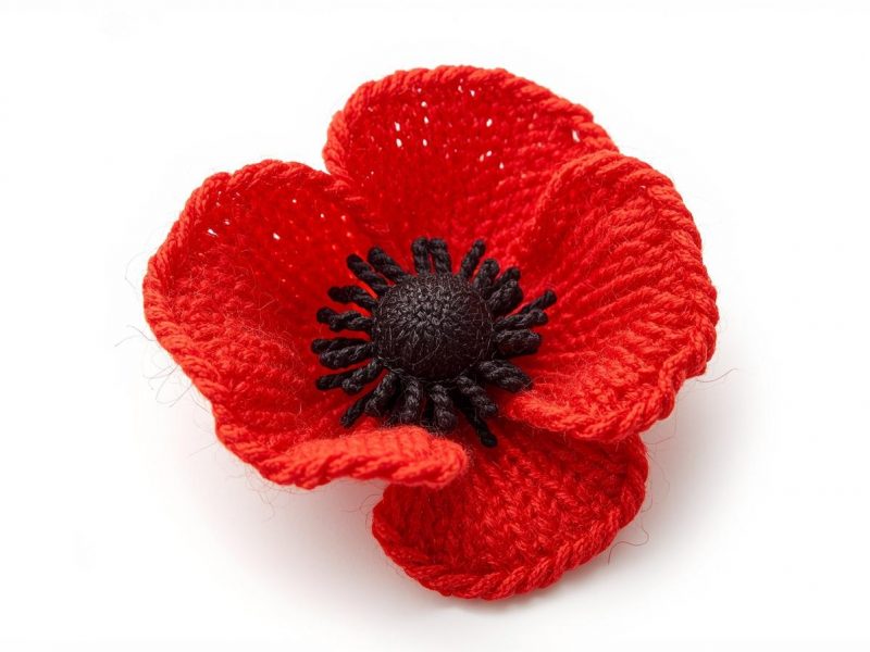 Poppy Appeal 2026 Poppy Appeal 2026